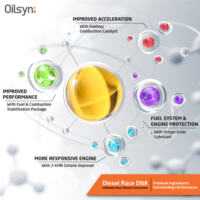 Oilsyn Race DNA Molecules