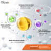 Oilsyn Diesel Doctor Molecules